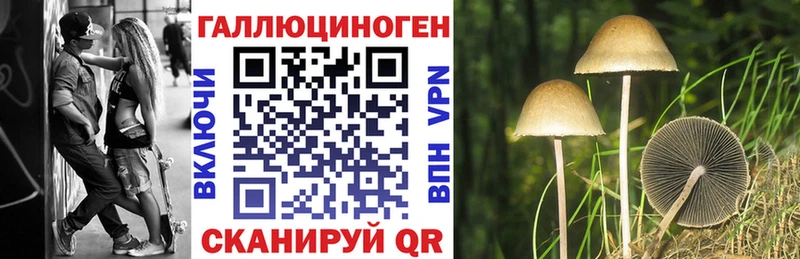 сколько стоит  Кировград  Псилоцибиновые грибы ЛСД 